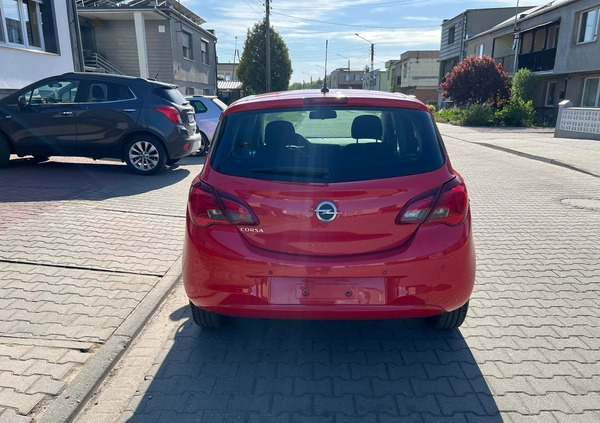 Opel Corsa cena 32900 przebieg: 37788, rok produkcji 2015 z Zbąszyń małe 106